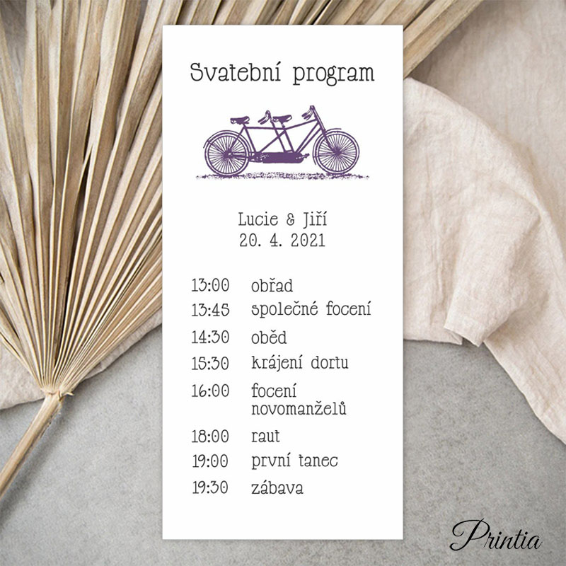 Wedding timeline tandem bike