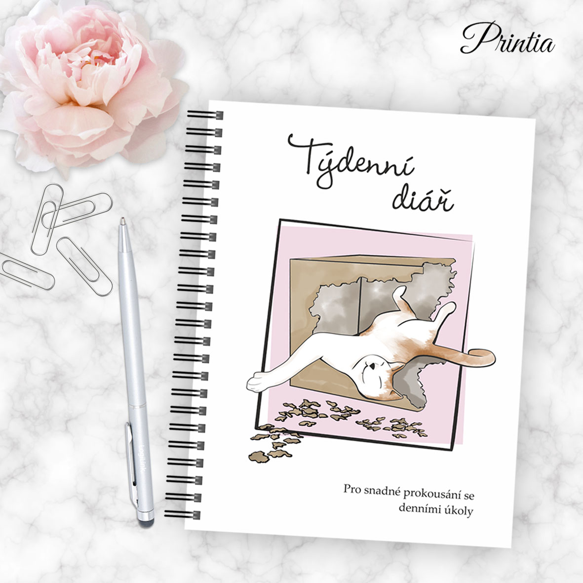 Svatební oznámení PLN21